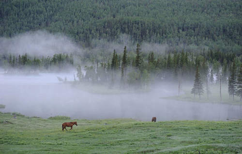 晚安心语：爱上一匹野马，我的心就是你的草原| jiaren.org