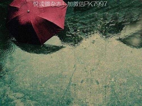 14首关于雨的纯音乐推荐 (13)